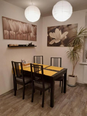 Apartment Riegerovka